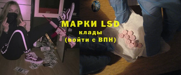 крисы Аркадак