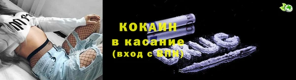 крисы Аркадак