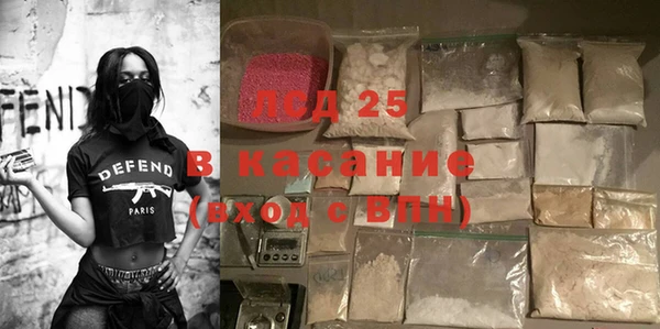 крисы Аркадак