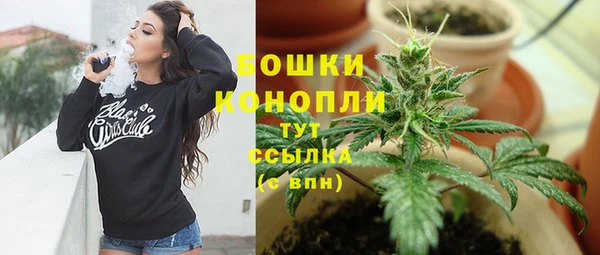 крисы Аркадак