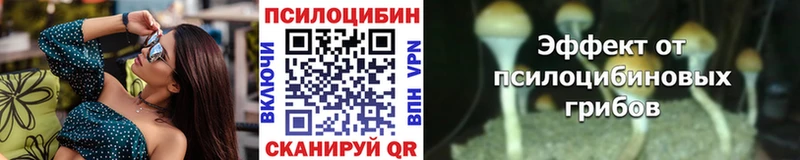 OMG как войти  где найти   Белорецк  Галлюциногенные грибы мухоморы 
